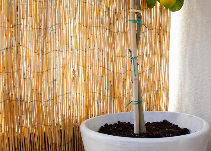 Appartement Homevision - Chic - Cozy Balcony Bliss