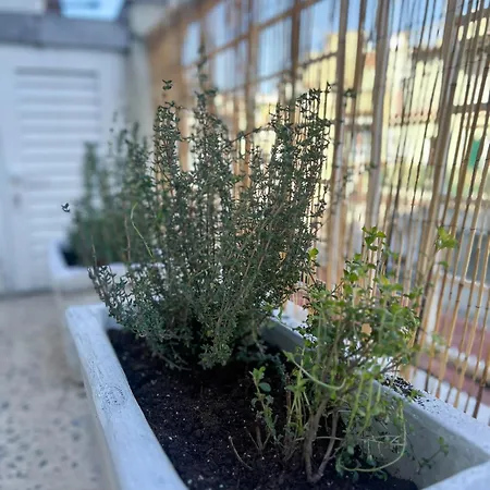 Homevision - Chic - Cozy Balcony Bliss Lägenhet *