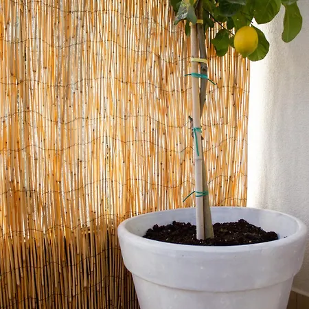 Apartment Homevision - Chic - Cozy Balcony Bliss